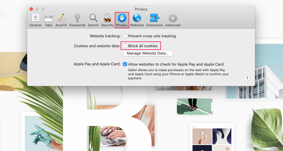 Safari Tüm Çerezleri Engelle