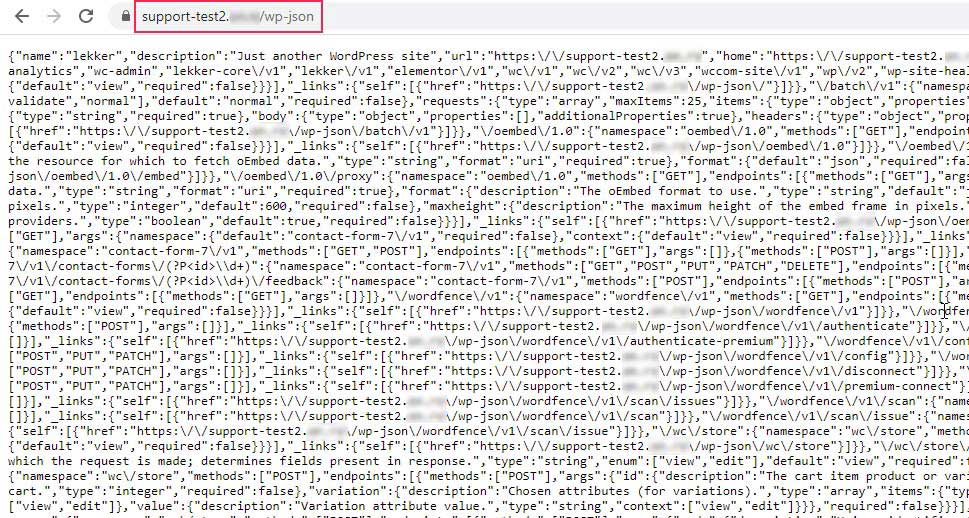 WP JSON Sayfası